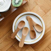 Ice Cream Spoon